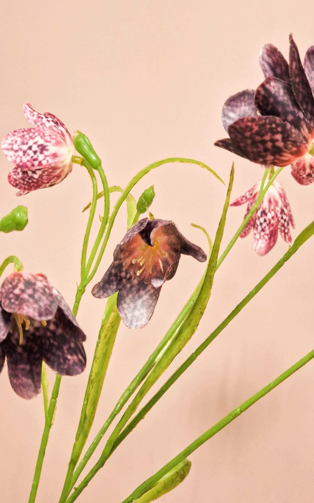 closeup van frittilaria kunst bloemen