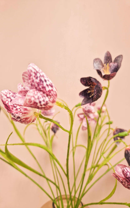 closeup zijden frittilaria kivietsbloemen 