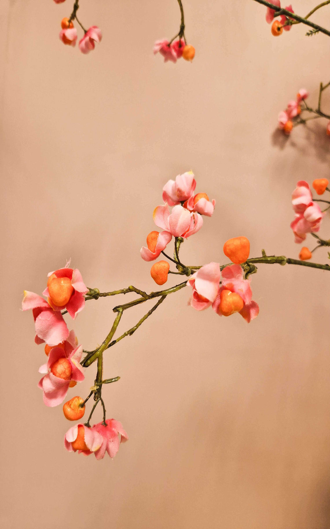 closeup van kardinaalsmuts zijden bloemen tak