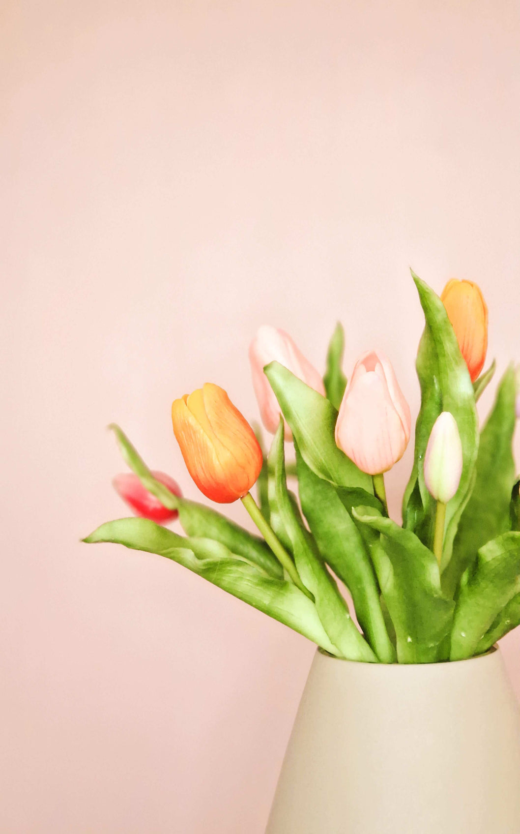 closeup van gekleurde mix korte tulpen in vaasje