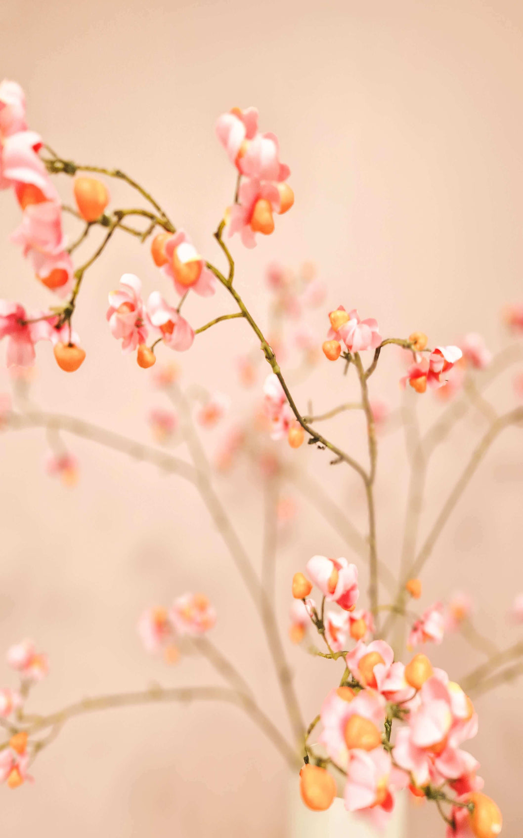 closeup kardinaalsmuts zijden bloementak