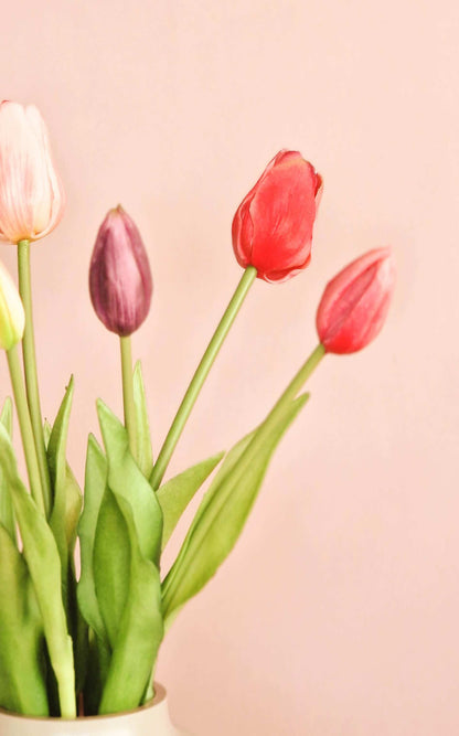 lange klassieke kunst tulpen in diverse kleuren 